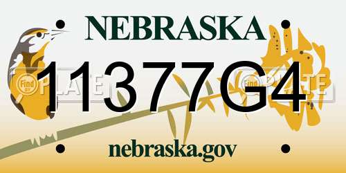 11377G4 Nebraska License Plate