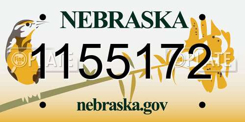 1155172 Nebraska License Plate
