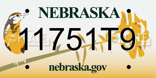 11751T9 Nebraska License Plate