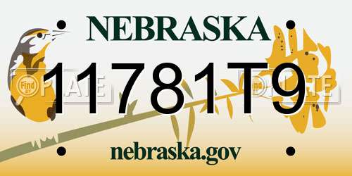 11781T9 Nebraska License Plate