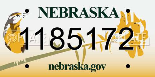1185172 Nebraska License Plate
