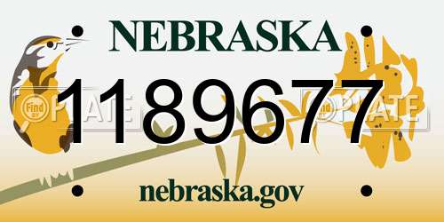 1189677 Nebraska License Plate