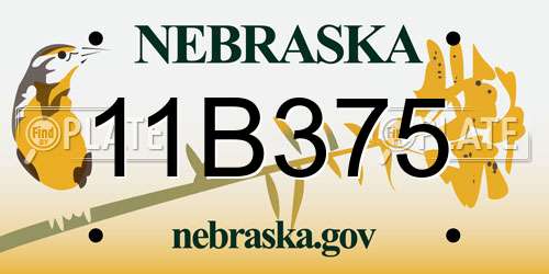 11B375 Nebraska License Plate