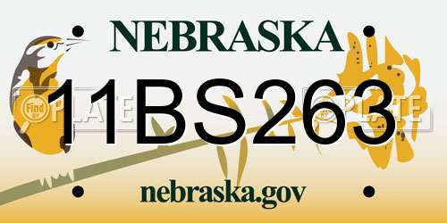 11BS263 Nebraska License Plate
