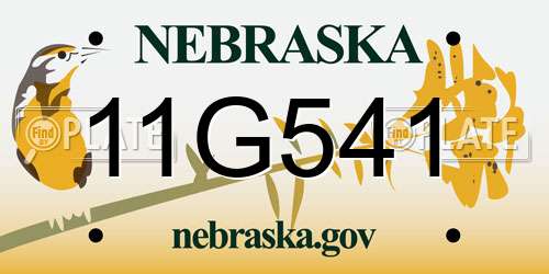 11G541 Nebraska License Plate