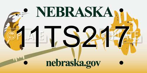 11TS217 Nebraska License Plate