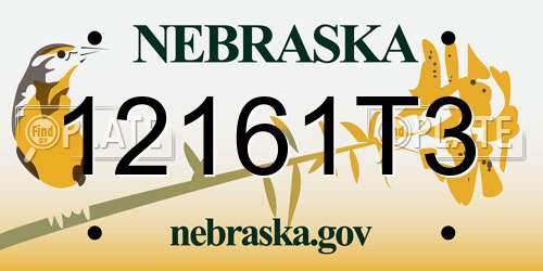 12161T3 Nebraska License Plate