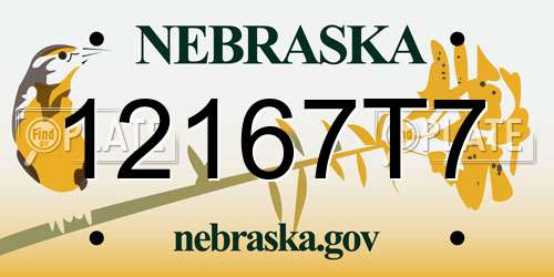 12167T7 Nebraska License Plate