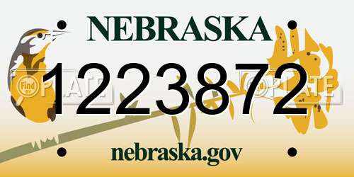 1223872 Nebraska License Plate
