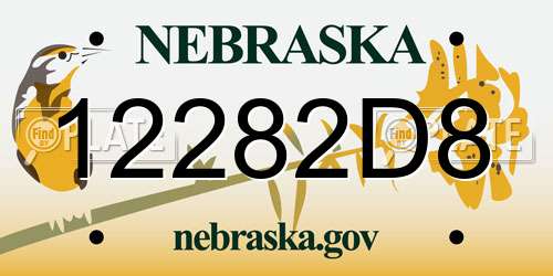 12282D8 Nebraska License Plate