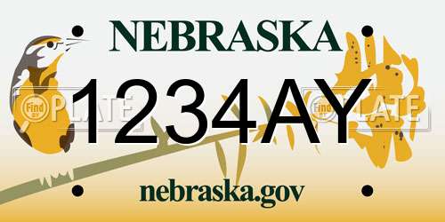 1234AY Nebraska License Plate