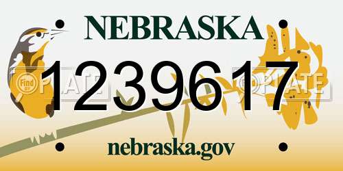 1239617 Nebraska License Plate