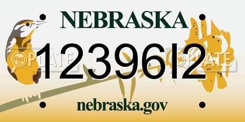 12396I2 Nebraska License Plate
