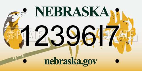 12396I7 Nebraska License Plate