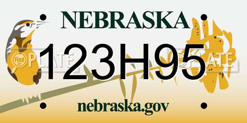 123H95 Nebraska License Plate