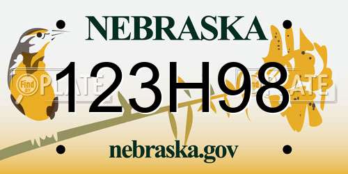 123H98 Nebraska License Plate