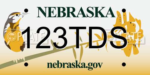 123TDS Nebraska License Plate