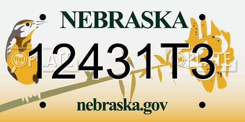 12431T3 Nebraska License Plate