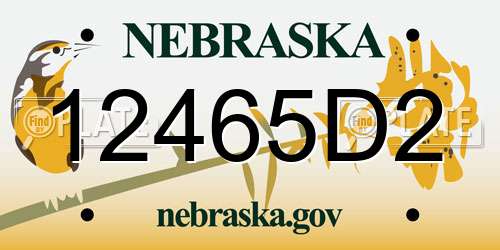 12465D2 Nebraska License Plate