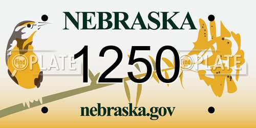 1250 Nebraska License Plate