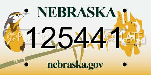 125441 Nebraska License Plate