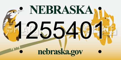 1255401 Nebraska License Plate