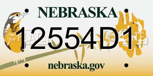 12554D1 Nebraska License Plate