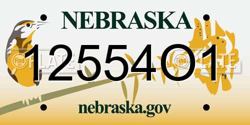 12554O1 Nebraska License Plate