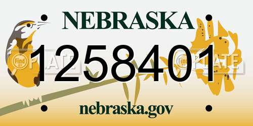 1258401 Nebraska License Plate