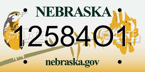 12584O1 Nebraska License Plate