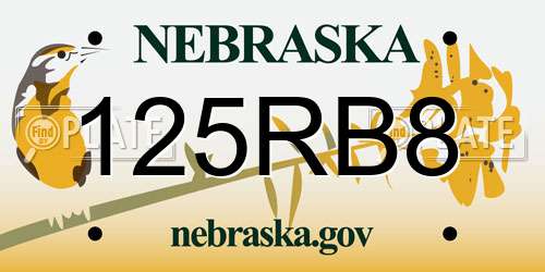 125RB8 Nebraska License Plate