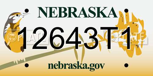 12643T1 Nebraska License Plate