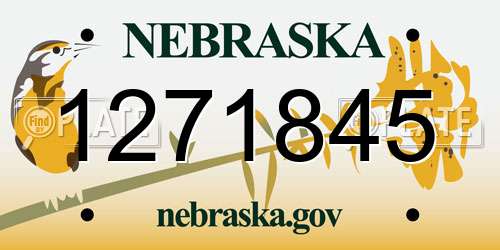 1271845 Nebraska License Plate