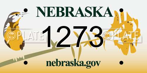 1273 Nebraska License Plate