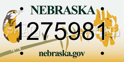 1275981 Nebraska License Plate