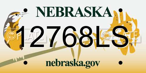 12768LS Nebraska License Plate