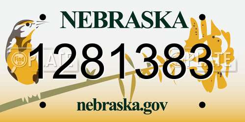 1281383 Nebraska License Plate