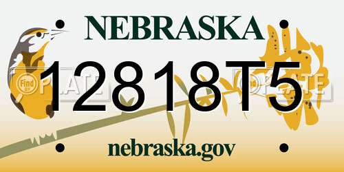 12818T5 Nebraska License Plate