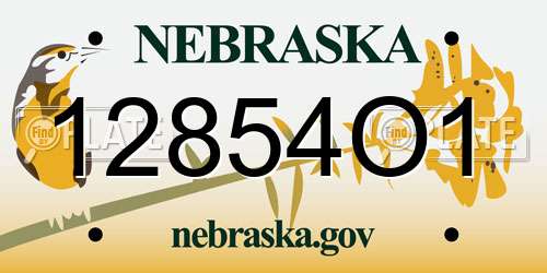12854O1 Nebraska License Plate