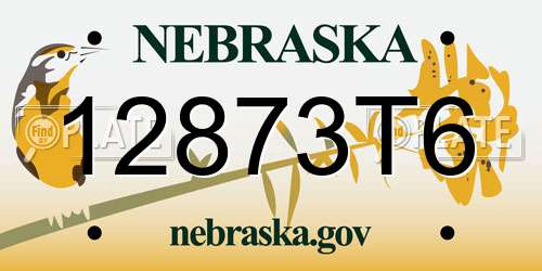 12873T6 Nebraska License Plate