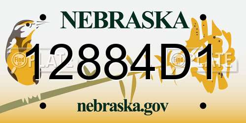 12884D1 Nebraska License Plate