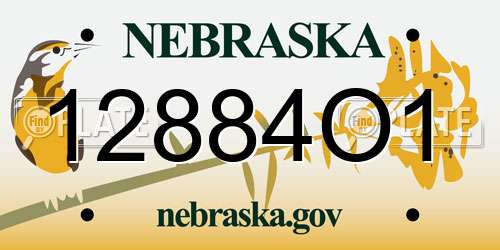 12884O1 Nebraska License Plate