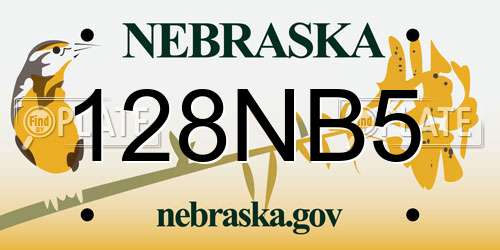 128NB5 Nebraska License Plate