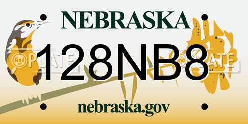 128NB8 Nebraska License Plate