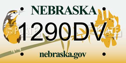 1290DV Nebraska License Plate
