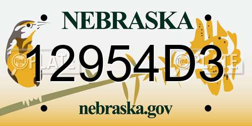 12954D3 Nebraska License Plate