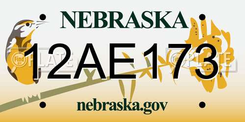 12AE173 Nebraska License Plate