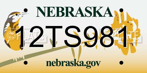 12TS981 Nebraska License Plate
