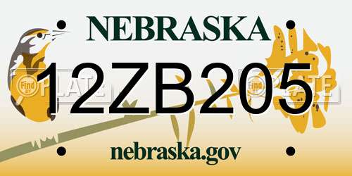 12ZB205 Nebraska License Plate