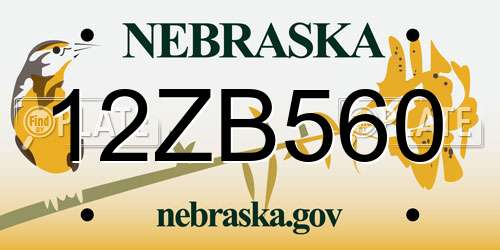12ZB560 Nebraska License Plate